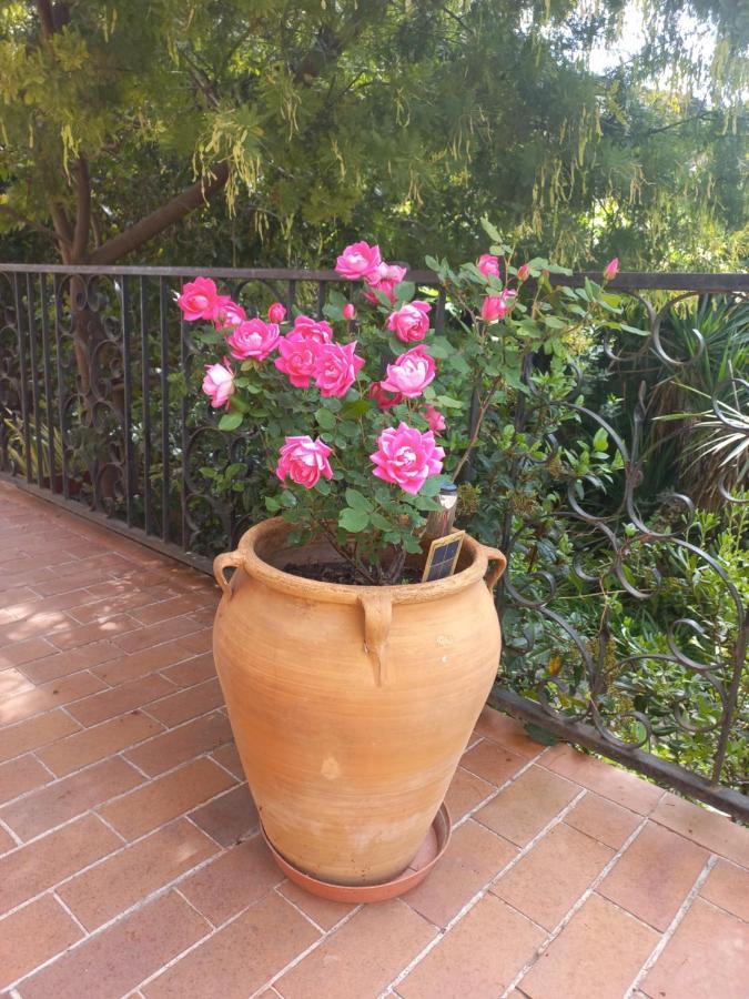 Chambre Dans Villa Charmant Jardin Μονπελιέ Εξωτερικό φωτογραφία